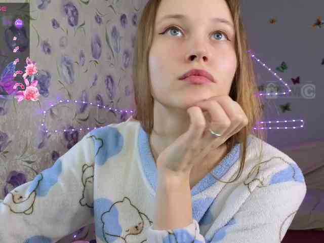 Armura webcam