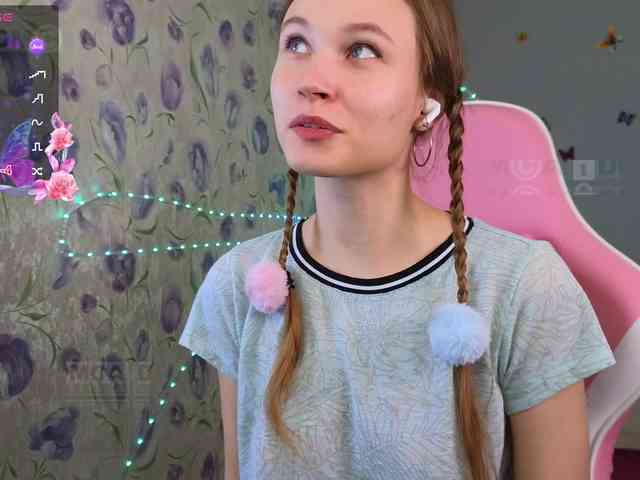 Armura webcam