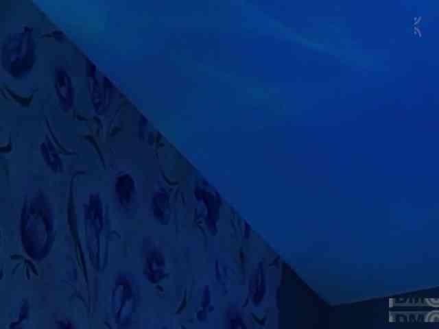 Armura webcam