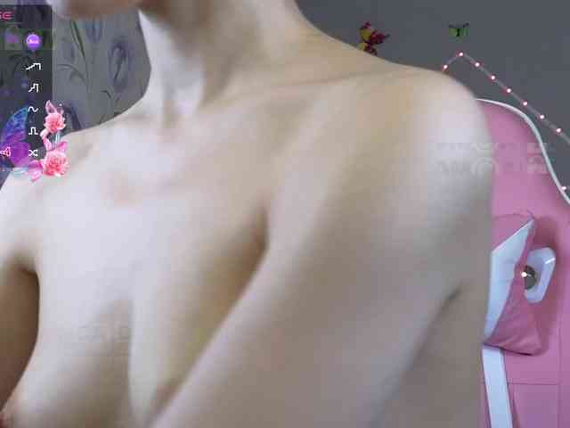 Armura webcam