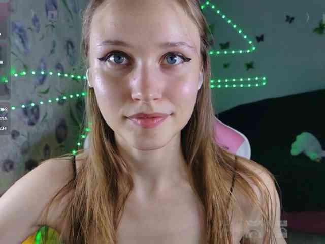 Armura webcam