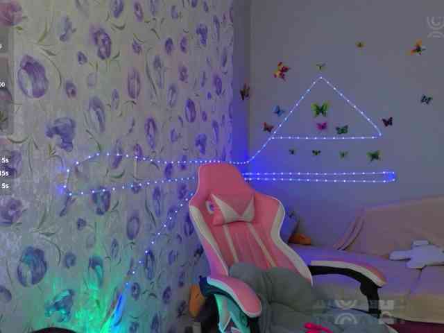 Armura webcam
