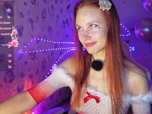 Armura webcam