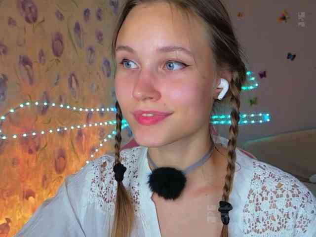 Armura webcam