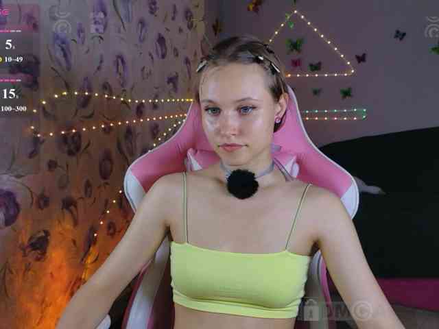 Armura webcam