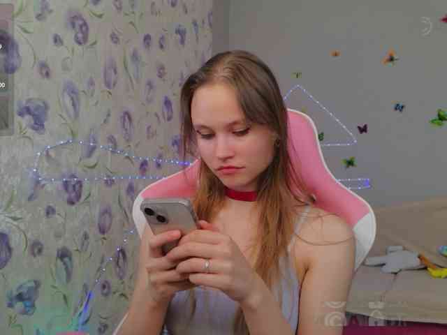 Armura webcam