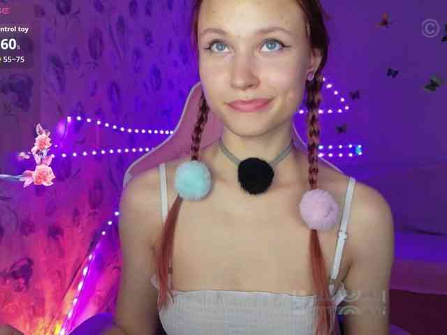 Armura webcam