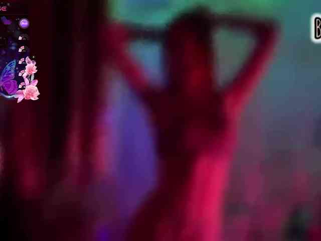 Armura webcam