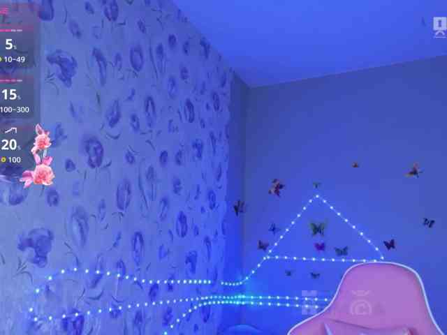 Armura webcam