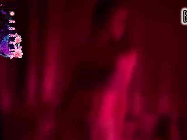 Armura webcam