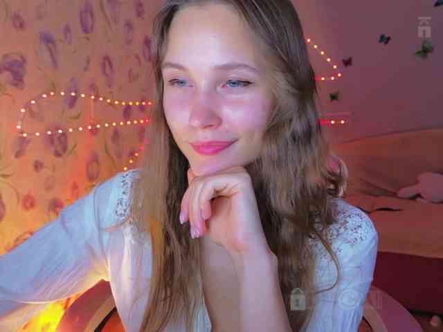 Armura webcam