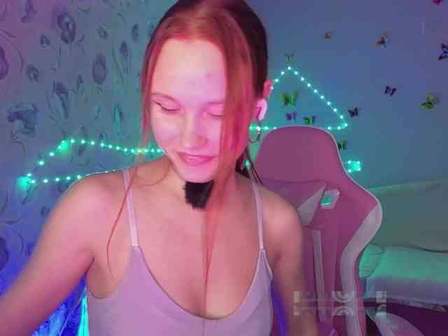 Armura webcam