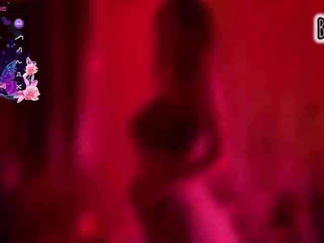 Armura webcam