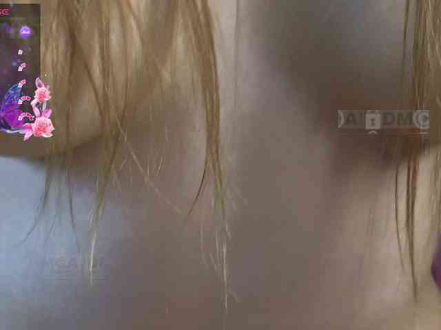 Armura webcam