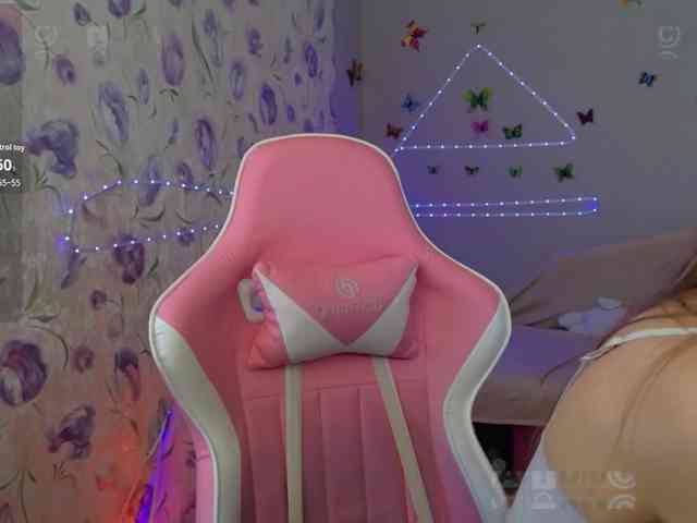 Armura webcam