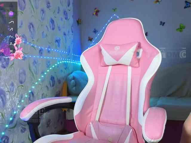 Armura webcam