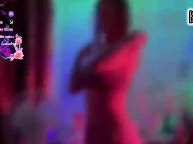 Armura webcam
