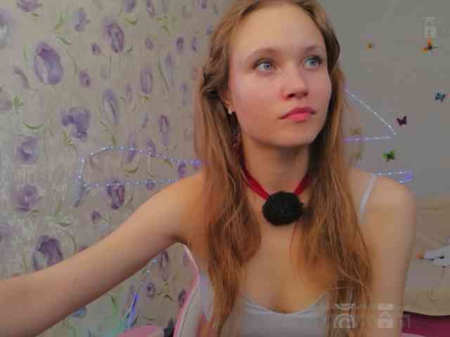 Armura webcam