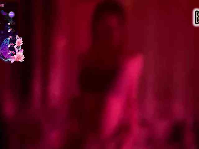 Armura webcam