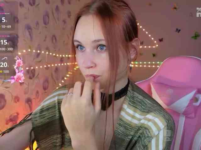 Armura webcam