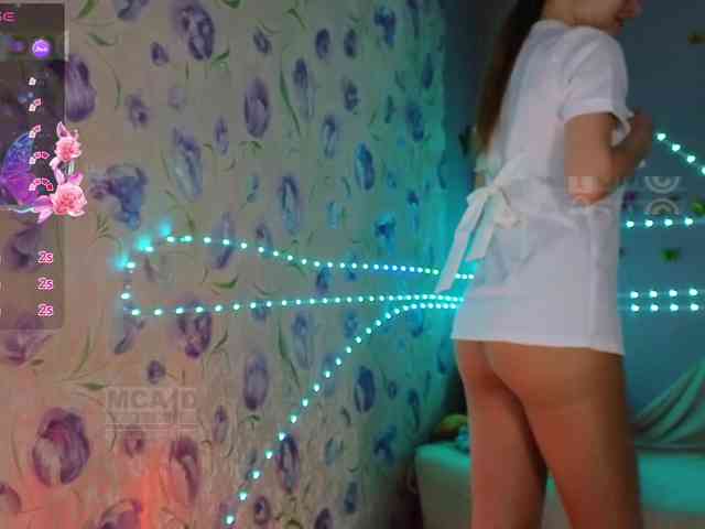Armura webcam