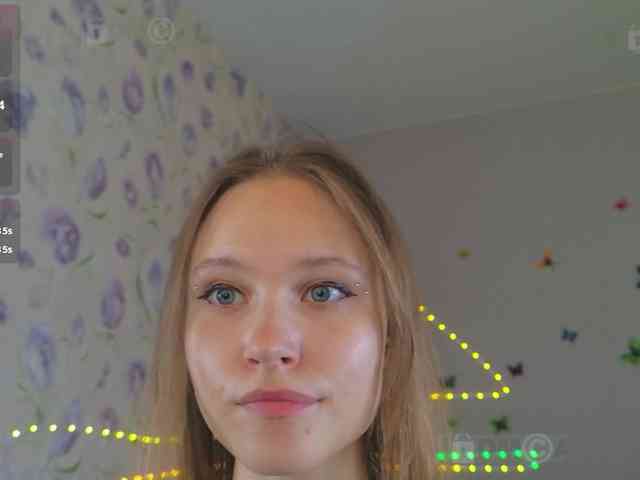 Armura webcam