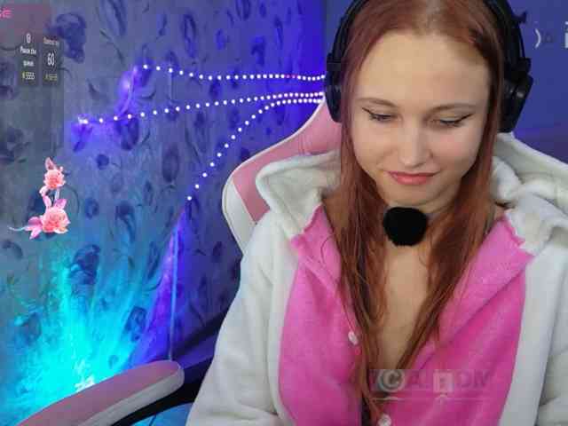Armura webcam