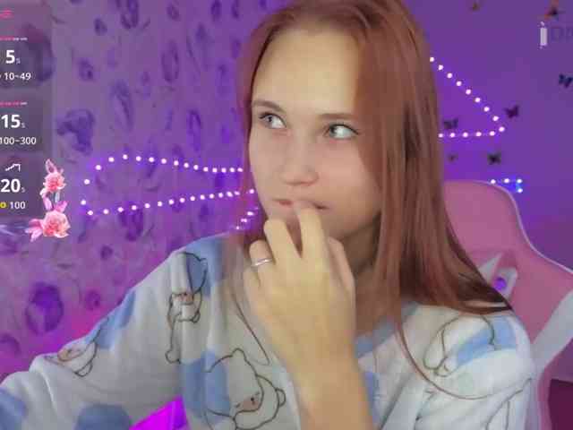 Armura webcam