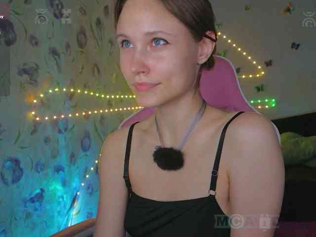 Armura webcam
