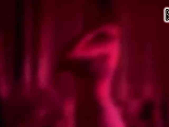 Armura Sex Cam Show