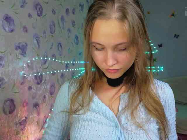 Armura webcam