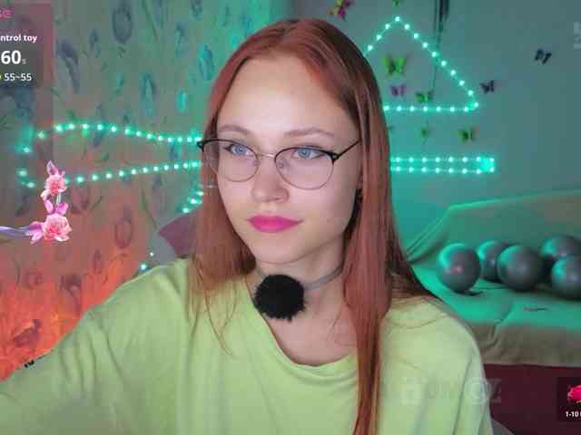Armura webcam