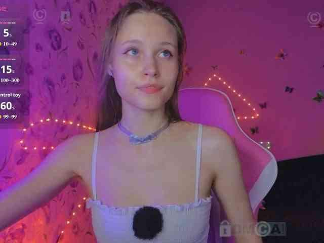 Armura webcam
