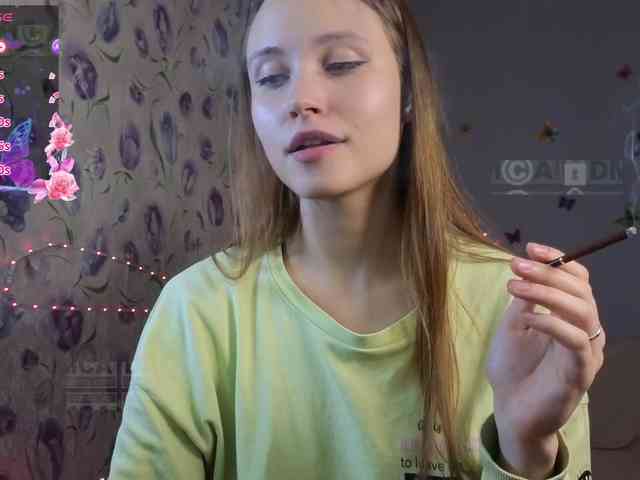 Armura webcam