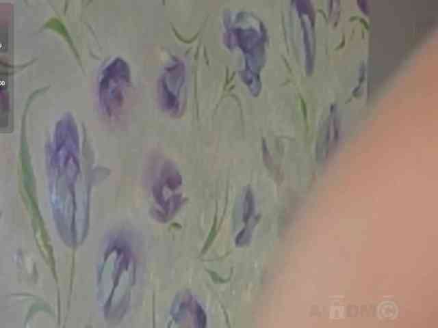 Armura webcam