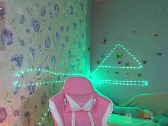 Armura webcam