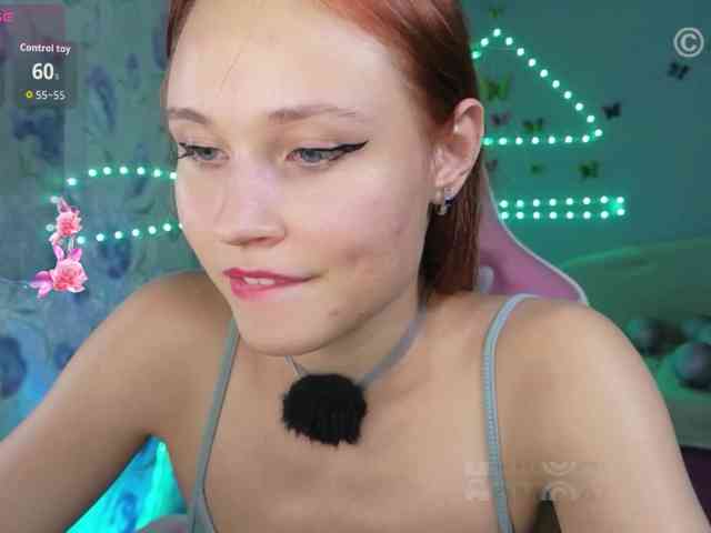 Armura webcam