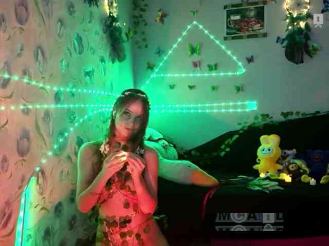 Armura webcam