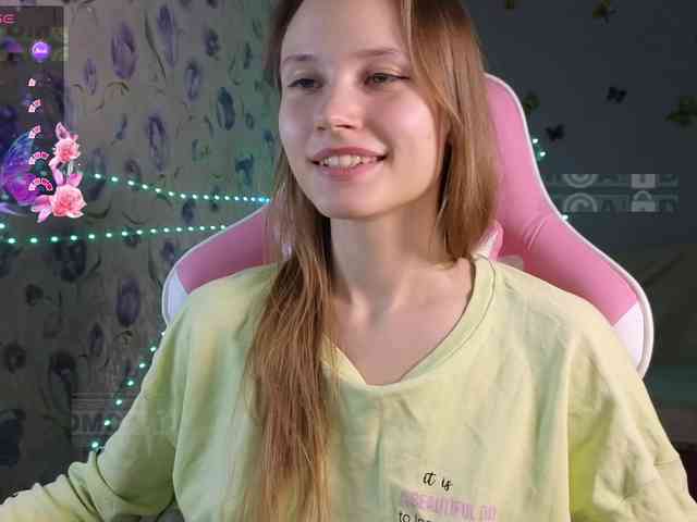 Armura webcam