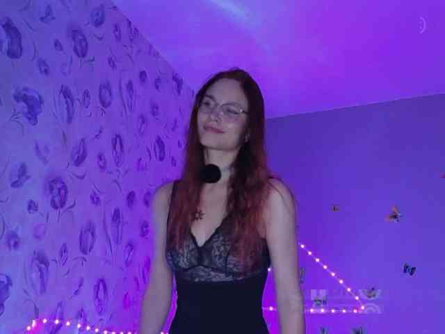 Armura webcam