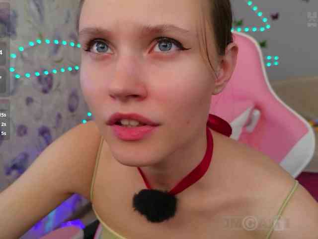 Armura webcam
