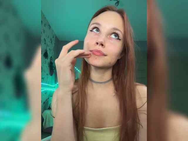 Armura webcam