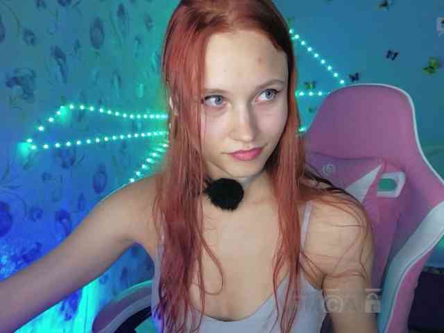 Armura webcam