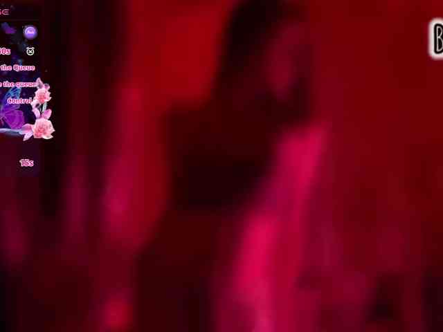 Armura webcam