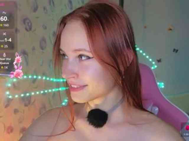 Armura webcam