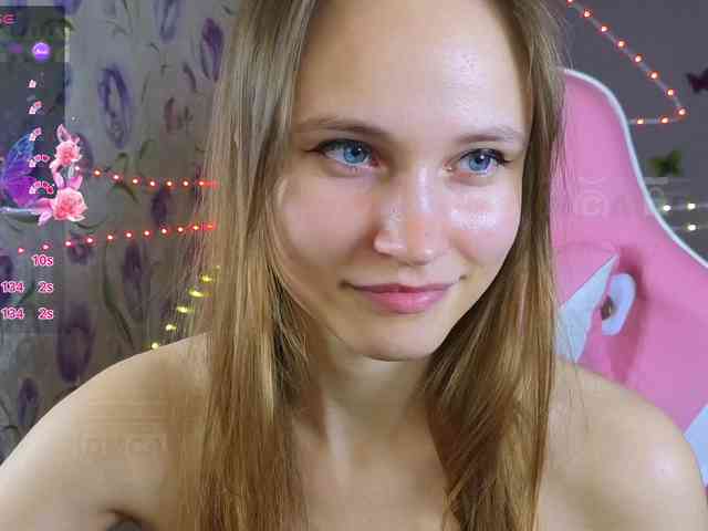 Armura webcam