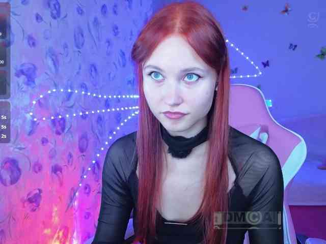 Armura webcam