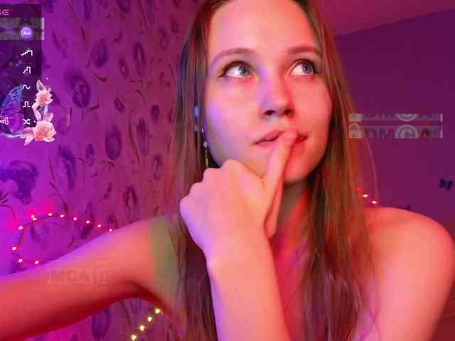 Armura webcam