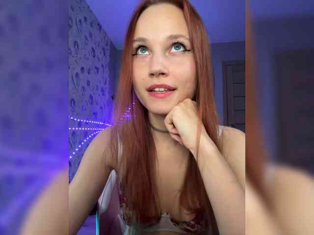 Armura webcam
