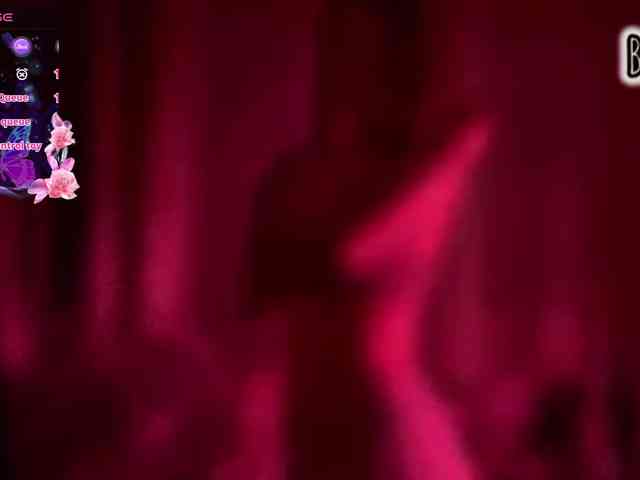 Armura webcam
